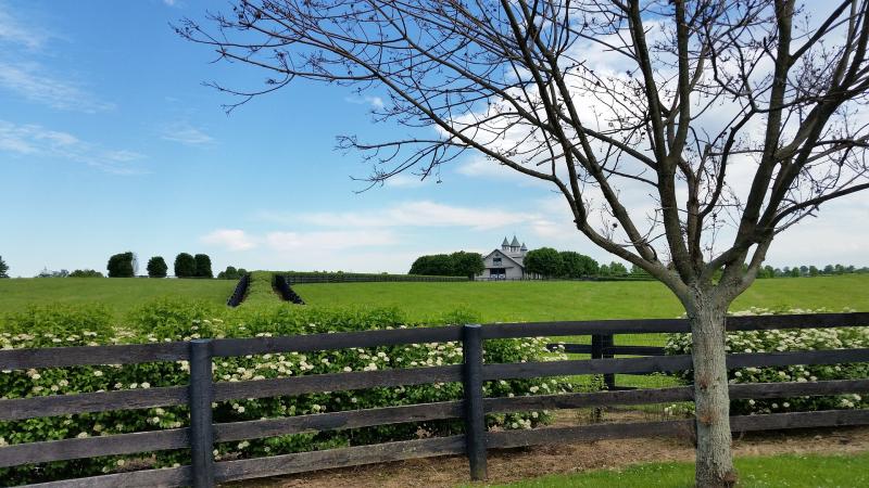 Field in Lexington, KY.