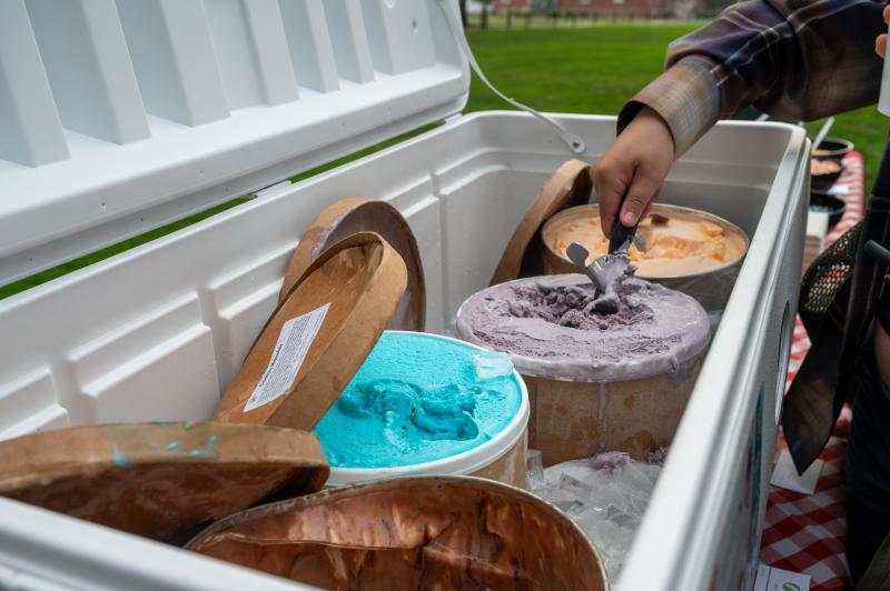 Four tubs of ice cream sit in a large white cooler filled with ice. Someone is scooping from one of the tubs.