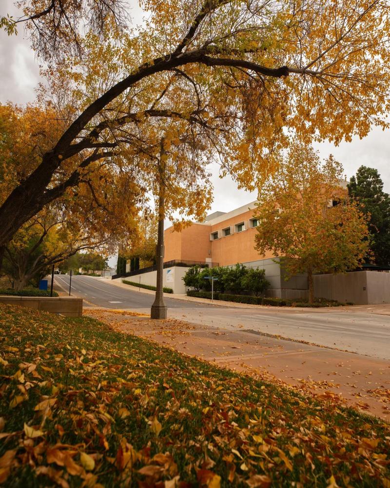 Photo of UC Riverside campus in fall.
