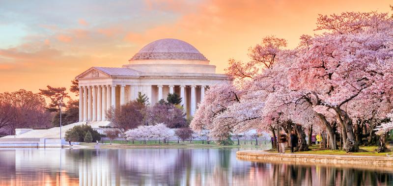 Jefferson Memorial during the Cherry Blossom Festival