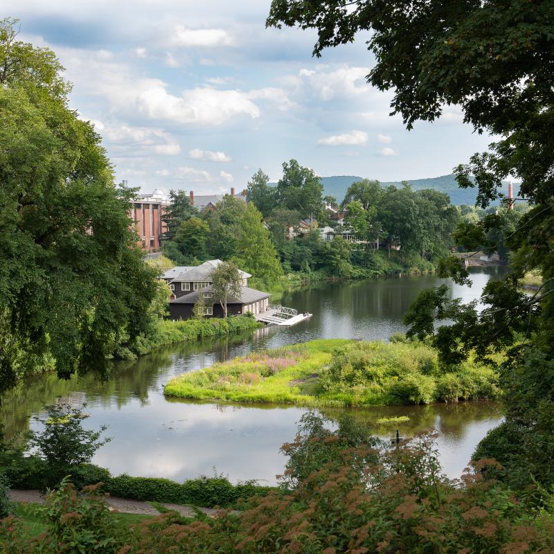 Paradise Pond at Smith College surrounded by lush greenery.